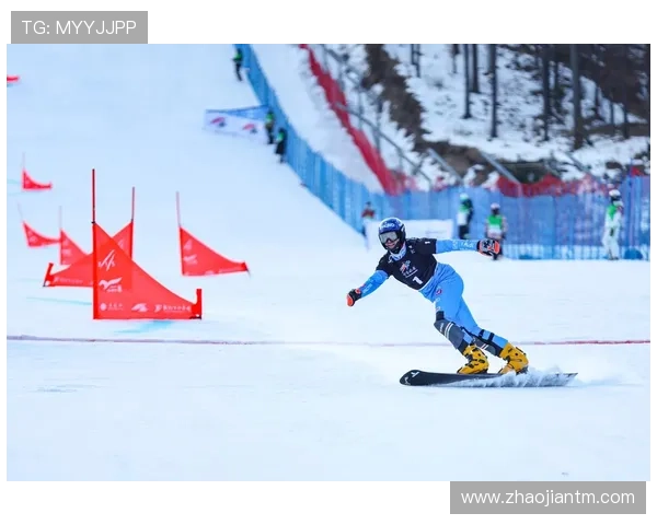单板滑雪平行回转世界杯（单板滑雪平行项目）sports